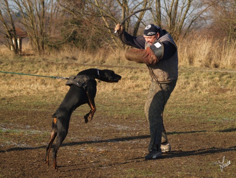 The christmas training 27.12.2006